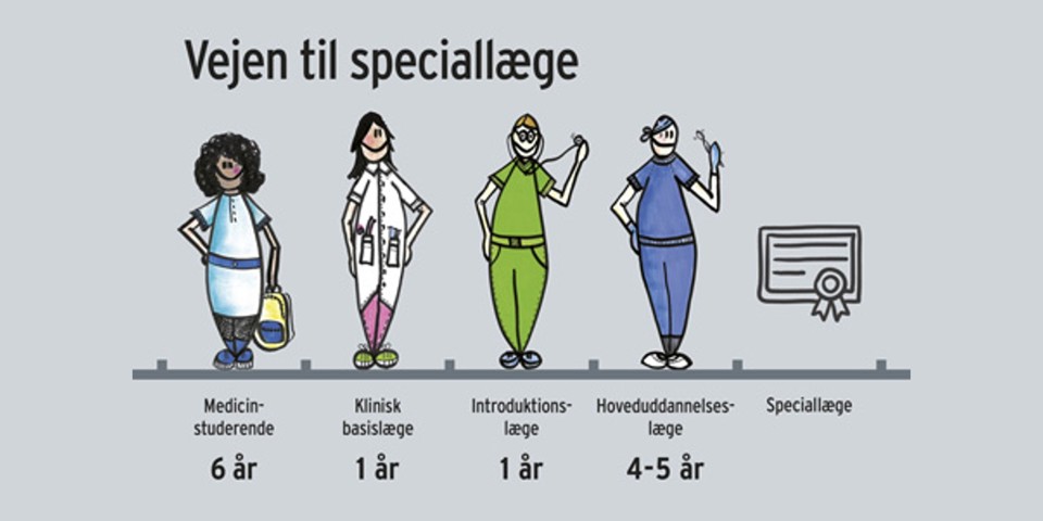 Vejen til speciallæge
